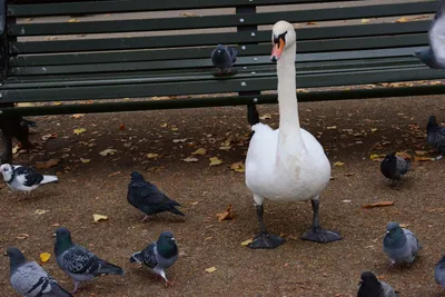 DSC_0632 (Large).JPG